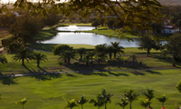 mas palomas golf course